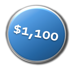 1100 button